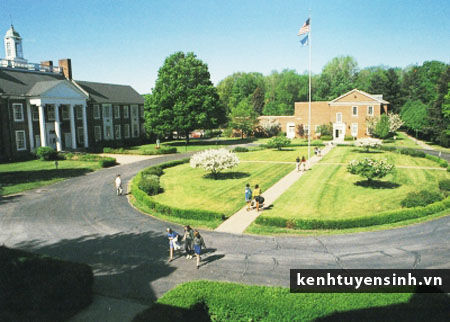 Học Viện Andrews Osborne Academy